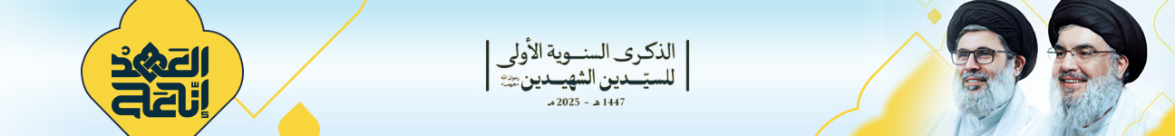ذکری استشهاد السیدین
