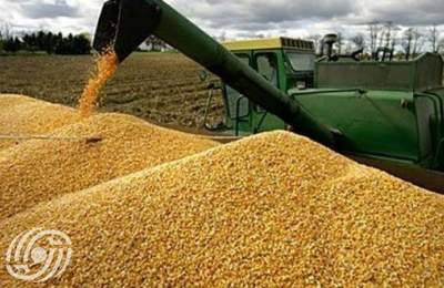 وزارة الزراعة الايرانية: نتوقع شراء 8.5 مليون طن من القمح المحلي