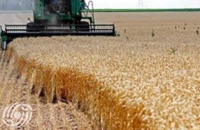 الزراعة الايرانية تتوقع شراء 8 ملايين طن قمحا محليا في 2023