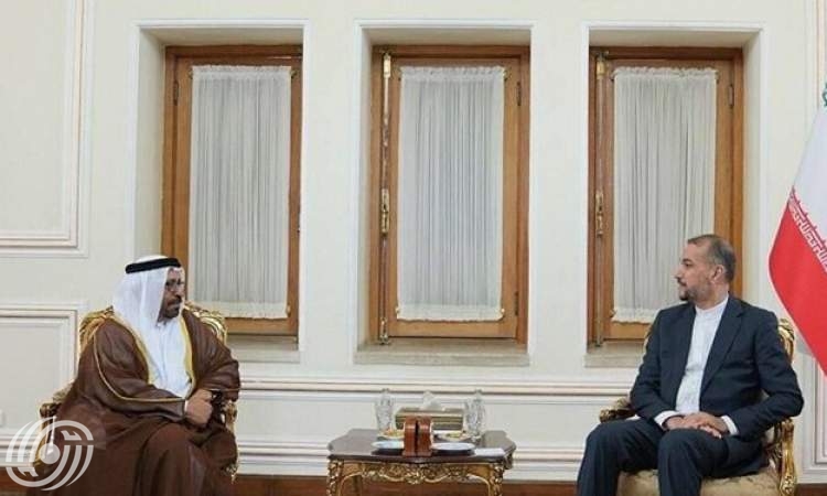 وزير الخارجية: العلاقات الإيرانية الإماراتية ستتطور في القطاعين العام والخاص