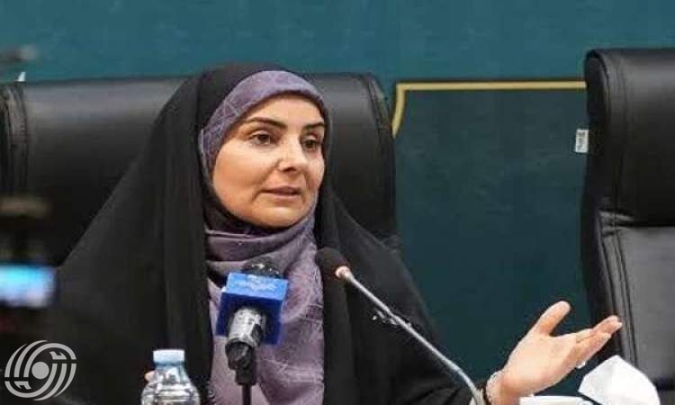 رحلات الأربعين ستزداد في حال إصدار العراق المزيد من التصاريح