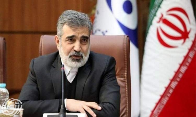 كمالوندي: سنعمل للتصديق على مقترح ايران بحظر استهداف المنشآت النووية
