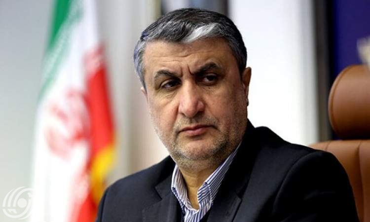 اسلامی: اختتمت الرحلة إلى فيينا بإنجازات مهمة؛ خطوة إيجابية لإيران