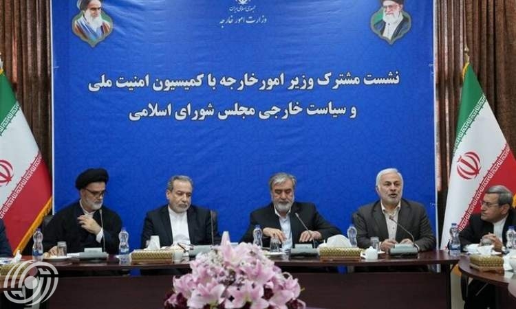 عراقجي يؤكد مواصلة الجهود لحماية حقوق إيران في الاستفادة من الطاقة النووية