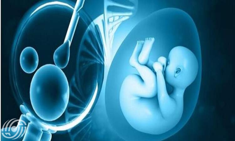 أطفال الأنابيب (IVF) ما هو؟ أطفال الأنابيب (IVF) ما هو؟