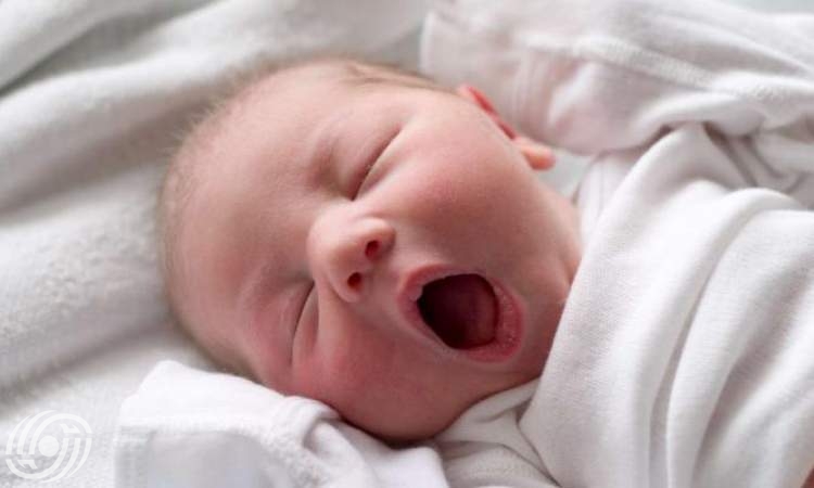 تم تسجيل أكثر من 11 ألف حالة ولادة خلال سبعة أشهر من عام 1404