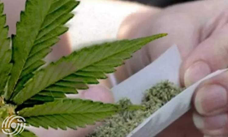 يتم بيع "المواد الكيميائية" و"البنزاي" على أنها أزهار