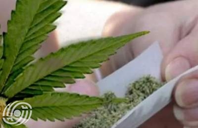 يتم بيع "المواد الكيميائية" و"البنزاي" على أنها أزهار