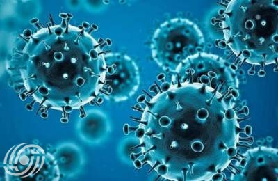 سلالة جديدة من فيروس كورونا تنتشر في البلاد