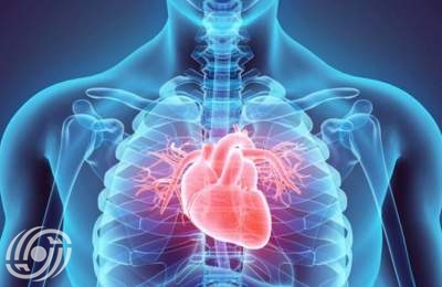 من الجينات إلى القلب: الآليات الخفية لأمراض القلب الخلقية