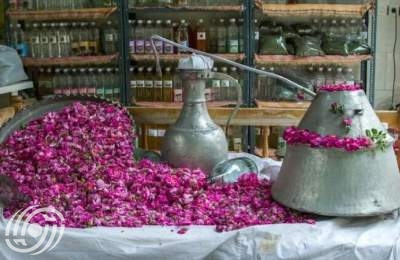 ماء الورد متجذر في أعماق التاريخ والثقافة والتراث الإيراني