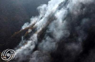 عمليات مكافحة الحرائق في غابات النخبة + فيديو  <img src="/images/video_icon.png" width="16" height="16" border="0" align="top">