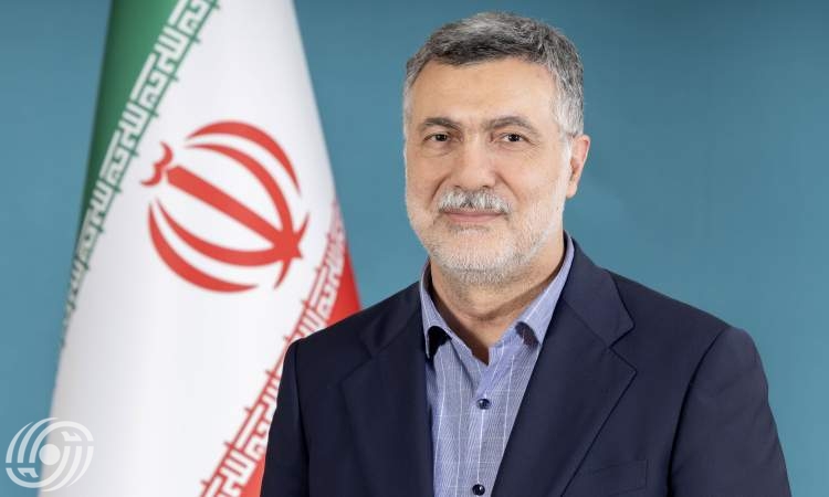 وجود الباسيج في المشاريع الصحية الوطنية أمر يبعث على الأمل