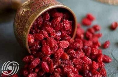 كيف يساعد البرباريس (زرشک) في توازن الصفراء وصحة الكبد؟