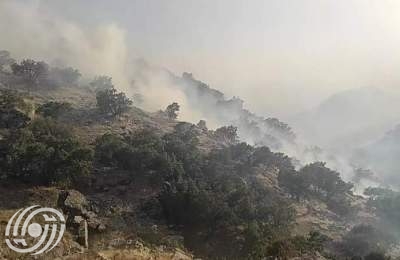 حريق غابات النخبة تم احتواؤه بالكامل + فيديو  <img src="/images/video_icon.png" width="16" height="16" border="0" align="top">