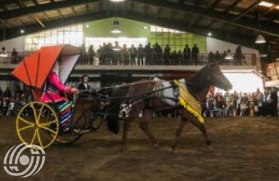 مهرجان جمال خيول بحر قزوين في أنزلي  <img src="/images/picture_icon.png" width="16" height="16" border="0" align="top">